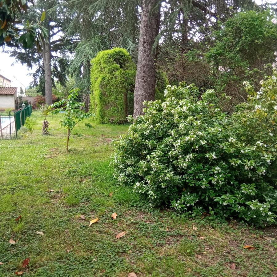 Chez Ben Avec Tout Le Confort Clim Wifi Netflix Gratuit Castres  Dış mekan fotoğraf